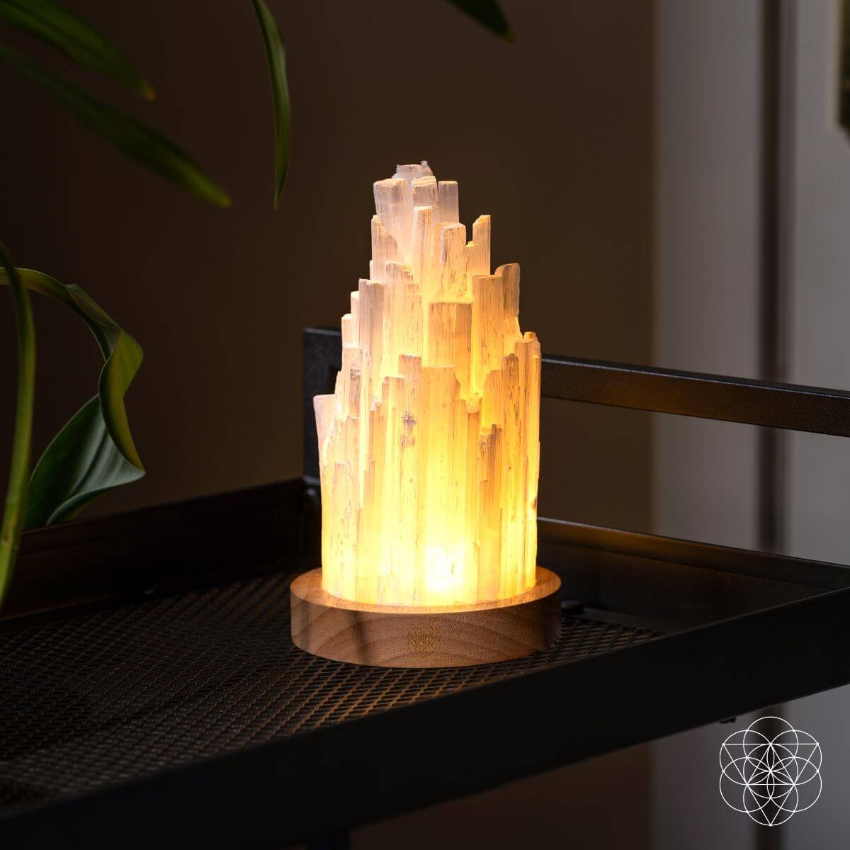 Selenite Tower Lamp with Walnut Base